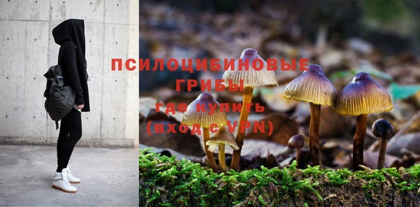 бошки Кукмор