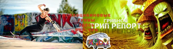 бошки Кукмор
